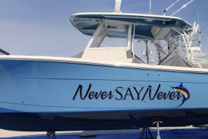 Wilmington Boat Lettering and Graphics boat graphics 300x200